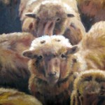 ochre sheep left