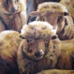 ochre sheep right